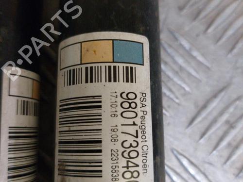 Højre bagtil støddæmper CITROËN C3 II (SC_) 1.6 BlueHDi 75 (75 hp) 23733946