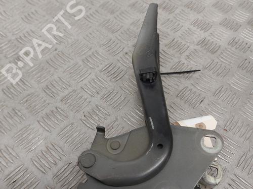 Hinge/Door check strap RENAULT MEGANE III Grandtour (KZ0/1) 1.5 dCi (KZ09, KZ0D, KZ1G, KZ29, KZ14, KZ1W, KZ10, KZ1F,... | BP29529255C146 