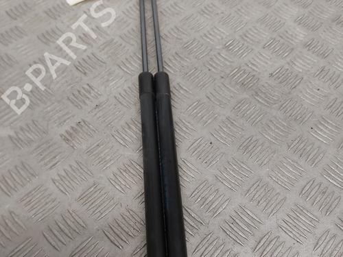 Tailgate lift support FORD FIESTA VI (CB1, CCN) 1.0 EcoBoost | BP25050436C138 