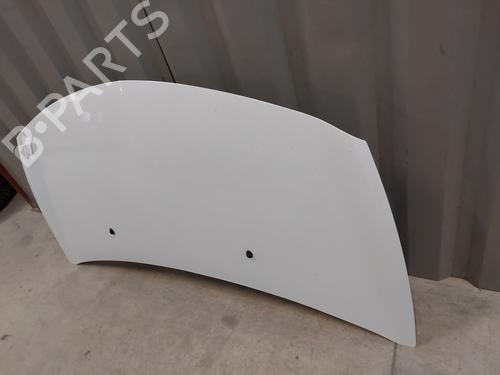 Hood RENAULT CLIO III (BR0/1, CR0/1) 1.5 dCi (C/BR0G, C/BR1G) | BP25259540C1 