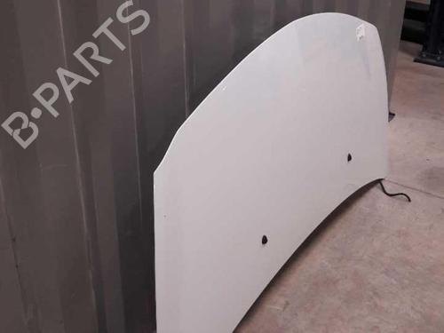 Hood RENAULT CLIO III (BR0/1, CR0/1) 1.5 dCi (C/BR0G, C/BR1G) | BP23657646C1