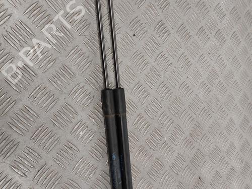 Tailgate lift support RENAULT MEGANE III Grandtour (KZ0/1) 1.5 dCi (KZ09, KZ0D, KZ1G, KZ29, KZ14, KZ1W, KZ10, KZ1F,... | BP29334290C138