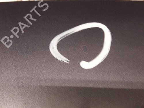 Hood RENAULT CLIO III (BR0/1, CR0/1) 1.2 16V (BR02, BR0J, BR11, CR02, CR0J, CR11) | BP23724075C1 