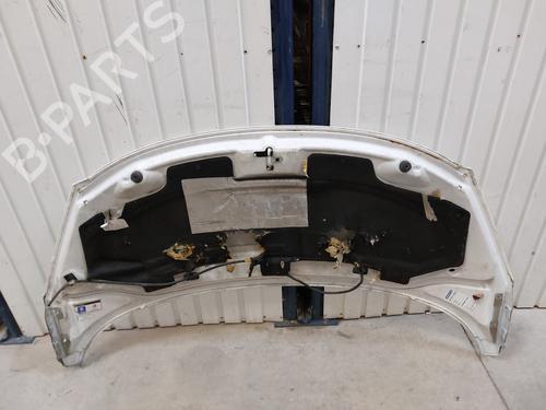 Used Hood Hood PEUGEOT 207 (WA_, WC_) 1.6 HDi (92 hp) 32237058 32237058