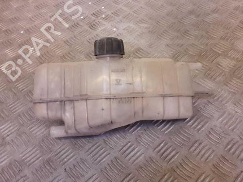 Used Expansion tank RENAULT CLIO III (BR0/1, CR0/1) 1.5 dCi (C/BR0G, C/BR1G) (68 hp) 23654938
