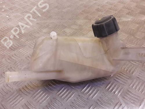Used Expansion tank RENAULT MEGANE II (BM0/1_, CM0/1_) 1.9 dCi (BM0G, CM0G) (120 hp) 23733636