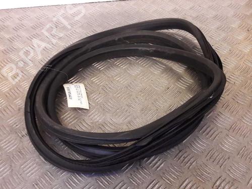 rubber-door-seal-renault-scenic-iii-jz01_-2008-2009-2010-2011-2012-2013-2014-2015-2016-23726250 main image
