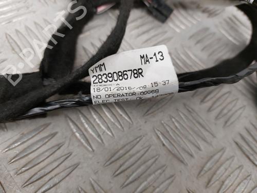 Used Electronic module Electronic module RENAULT MEGANE IV Hatchback (B9A/M/N_) 1.6 TCe 205 (B9MV) (205 hp) 24854300 24854300