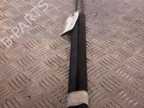 Used Tailgate lift support FORD FIESTA V (JH_, JD_) 1.4 TDCi (68 hp) 23717800