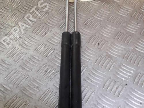 Used Tailgate lift support RENAULT CLIO III (BR0/1, CR0/1) 1.2 16V (BR0P, CR0P) (101 hp) 23724852