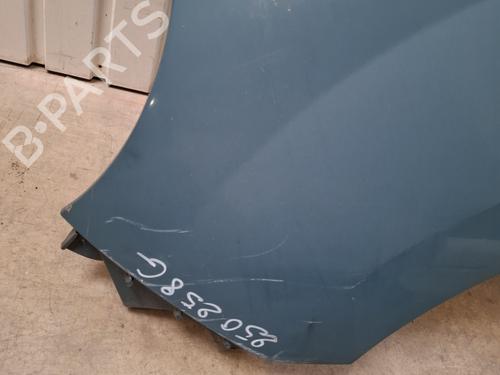 Left front fenders RENAULT KANGOO / GRAND KANGOO II (KW0/1_) 1.5 dCi 90 (KW05, KW08, KW0G, KW11) | BP29026441C41 