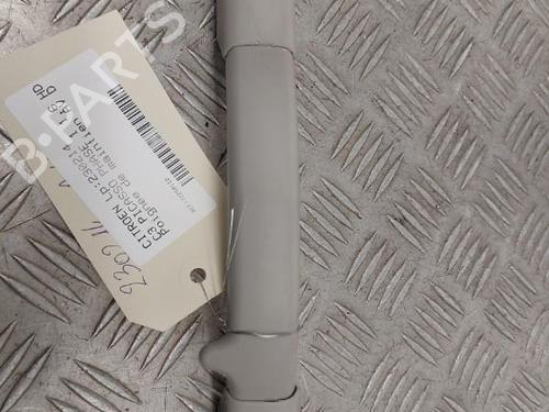 Interior roof handle CITROËN C3 Picasso (SH_) 1.6 HDI 90 | BP23735015I35 - Image 3