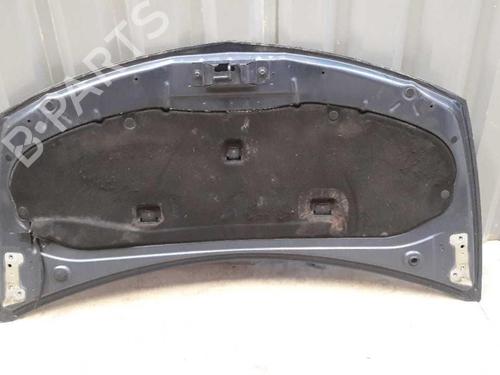 Hood RENAULT CLIO III (BR0/1, CR0/1) 1.5 dCi (BR17, CR17) | BP23717926C1 