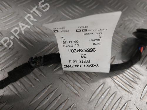 Used Electronic module Electronic module PEUGEOT PARTNER Tepee 1.6 HDi 16V (90 hp) 24875797 24875797