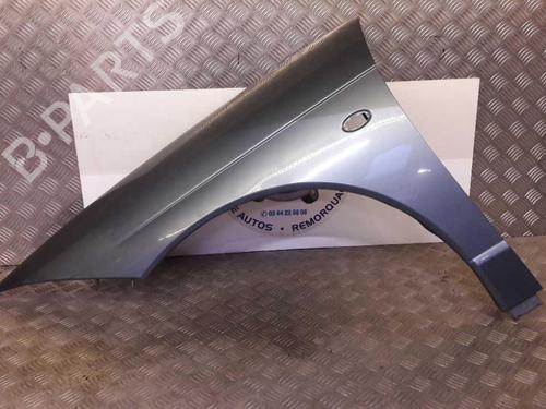 Used Left front fenders CITROËN C6 (TD_) 2.7 HDi (204 hp) 23728086