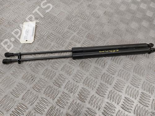 tailgate-lift-support-renault-scenic-iii-jz01_-2008-2009-2010-2011-2012-2013-2014-2015-2016-30358466 main image