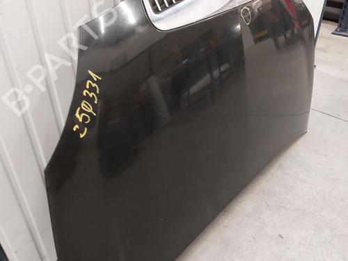 Used Hood Hood LANCIA YPSILON (843_) 1.3 JTD (843.AXD11, 843.AXD1A) (70 hp) 30480132 30480132