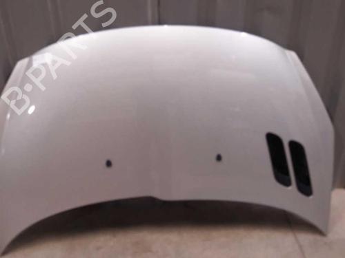 Used Hood PEUGEOT 206+ (2L_, 2M_) 1.4 i (2LKFWA, 2MKFWA) (75 hp) 23658014