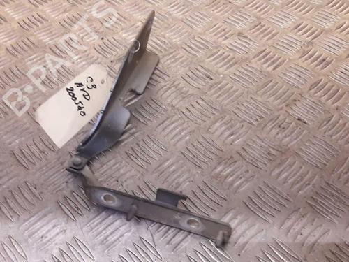Used Hinge/Door check strap CITROËN C3 I (FC_, FN_) 1.4 HDi (68 hp) 23717376