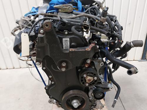 Motor für Motor NISSAN QASHQAI II (J11, J11_) 1.6 dCi (130 hp) 33831472 33831472