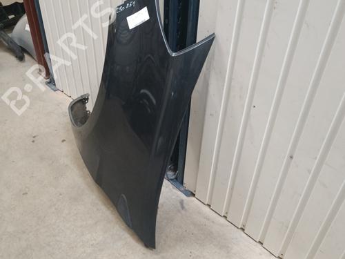 Left front fenders RENAULT CLIO III (BR0/1, CR0/1) 1.6 16V (BR09, BR0T, CR09, CR0T) | BP29222330C41 