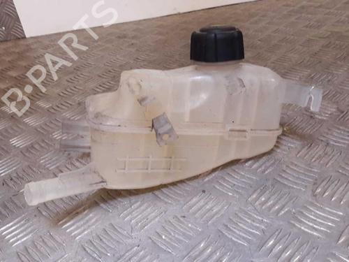 expansion-tank-renault-megane-iii-hatchback-bz01_-b3_-2008-23726491 main image