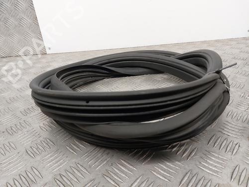 Rubber door seal RENAULT CLIO III (BR0/1, CR0/1) 1.6 16V (BR09, BR0T, CR09, CR0T) | BP29323514C142 