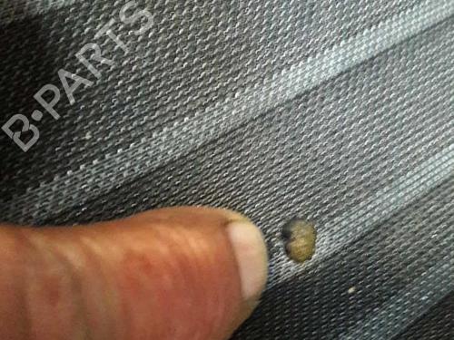 BP23717893C17 main image