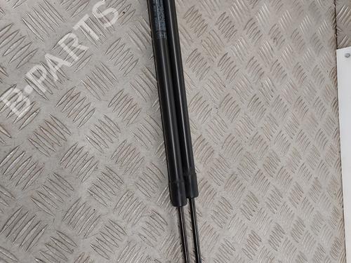 tailgate-lift-support-fiat-500l-351_-352_-2012-26210760 main image