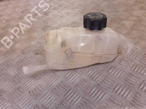 Used Expansion tank RENAULT MEGANE III Hatchback (BZ0/1_, B3_) 1.5 dCi (106 hp) 23733635
