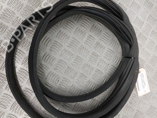 Rubber door seal RENAULT CLIO III (BR0/1, CR0/1) 1.6 16V (BR09, BR0T, CR09, CR0T) | BP29323515C142 
