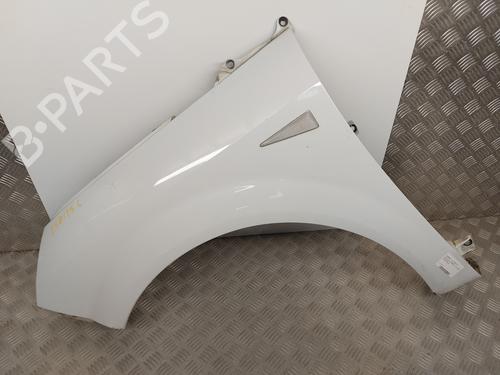 Left front fenders RENAULT SCÉNIC II (JM0/1_) 1.5 dCi (JM1E, JM16) | BP25916412C41 