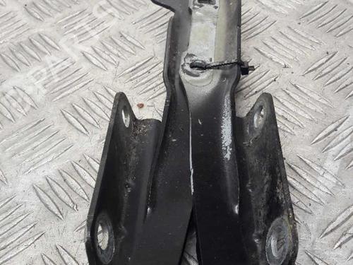 hingedoor-check-strap-dacia-sandero-2008-23735662 main image