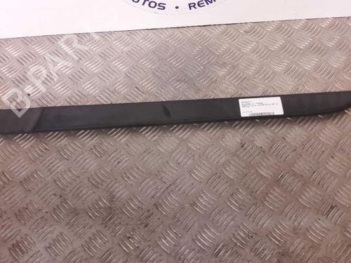 Used Door moulding trim RENAULT MEGANE II (BM0/1_, CM0/1_) 1.9 dCi (BM0G, CM0G) (120 hp) 30548311