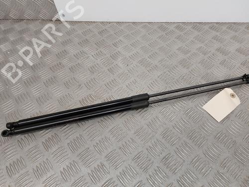Used Tailgate lift support NISSAN JUKE (F15) 1.6 (117 hp) 28622696