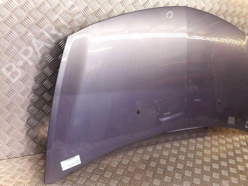 Hood RENAULT CLIO III (BR0/1, CR0/1) 1.2 16V (BR02, BR0J, BR11, CR02, CR0J, CR11) | BP23724075C1 