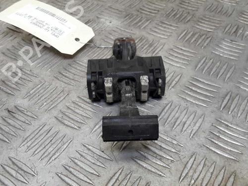 Hinge/Door check strap OPEL ASTRA H (A04) 1.7 CDTI (L48) | BP24853689C146 