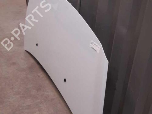 Hood RENAULT CLIO III (BR0/1, CR0/1) 1.5 dCi (C/BR0G, C/BR1G) | BP23657646C1