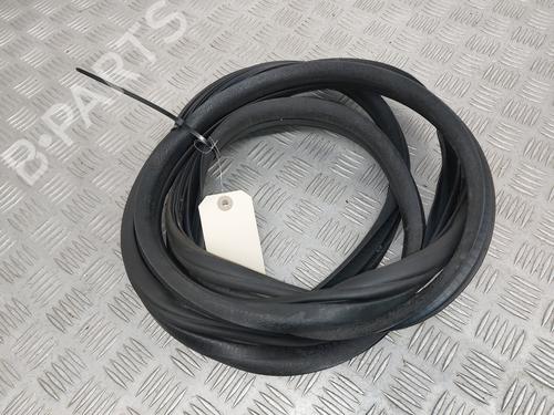 Used Rubber door seal RENAULT CLIO III (BR0/1, CR0/1) 1.6 16V (BR09, BR0T, CR09, CR0T) (88 hp) 29323517