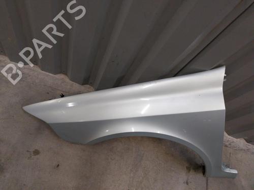 Left front fenders RENAULT LAGUNA II (BG0/1_) 1.9 dCi (BG08, BG0G) | BP23737226C41 