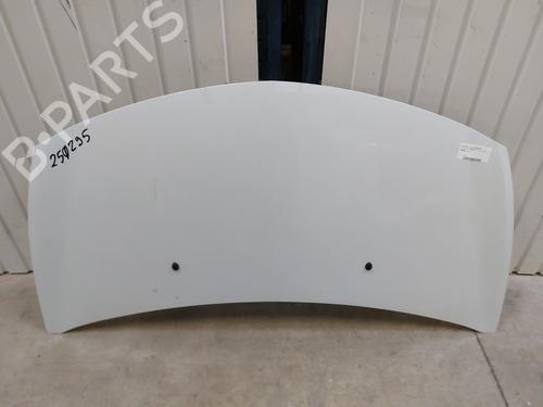 Used Hood RENAULT CLIO III (BR0/1, CR0/1) 1.5 dCi (C/BR0G, C/BR1G) (68 hp) 28130817