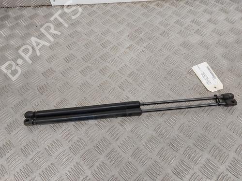 Tailgate lift support FORD FIESTA VI (CB1, CCN) 1.0 EcoBoost | BP25050436C138 