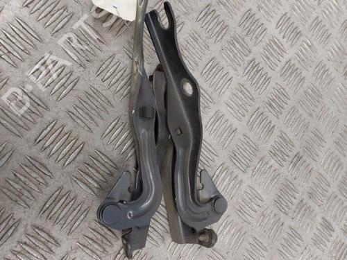 Hinge/Door check strap MAZDA 2 (DY) 1.2 (DY3W) | BP23659011C146