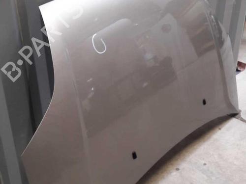 Hood FORD FIESTA V (JH_, JD_) 1.4 TDCi | BP23656837C1 