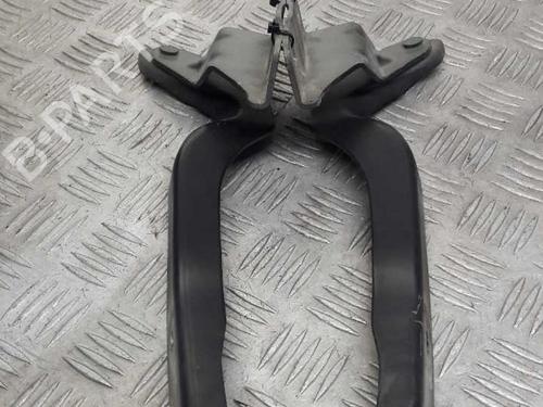 Hinge/Door check strap NISSAN QASHQAI / QASHQAI +2 I (J10, NJ10, JJ10E) 1.5 dCi | BP23734303C146 