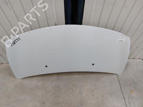 Hood RENAULT CLIO III (BR0/1, CR0/1) 1.5 dCi (C/BR0G, C/BR1G) | BP28130817C1 