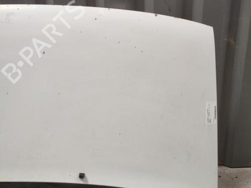 Hood CITROËN JUMPY I (U6U_) 1.9 TD | BP23658591C1 
