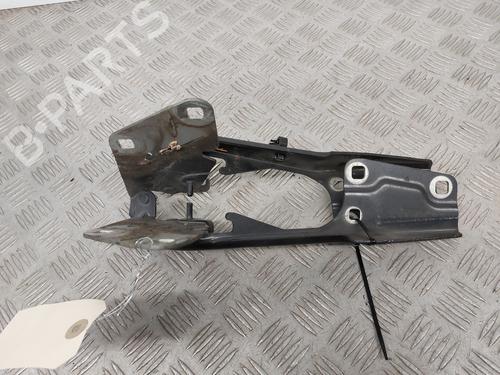 Used Hinge/Door check strap RENAULT MEGANE III Grandtour (KZ0/1) 1.5 dCi (KZ09, KZ0D, KZ1G, KZ29, KZ14, KZ1W, KZ10, KZ1F,... (110 hp) 29529255
