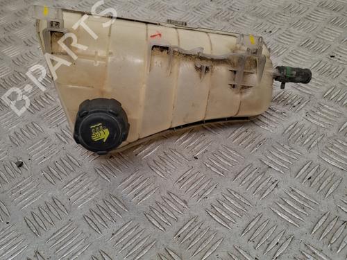 Used Expansion tank Expansion tank RENAULT KANGOO / GRAND KANGOO II (KW0/1_) 1.5 dCi 90 (KW05, KW08, KW0G, KW11) (90 hp) 29072761 29072761