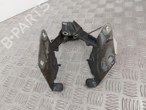 Hinge/Door check strap RENAULT MEGANE III Grandtour (KZ0/1) 1.5 dCi (KZ09, KZ0D, KZ1G, KZ29, KZ14, KZ1W, KZ10, KZ1F,... | BP29529255C146 